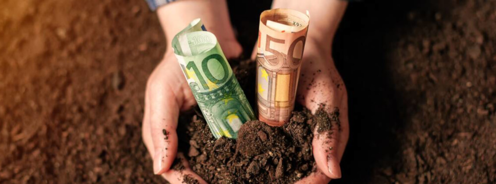 Fonds - Alles was Sie über Investmenfonds wissen müssen